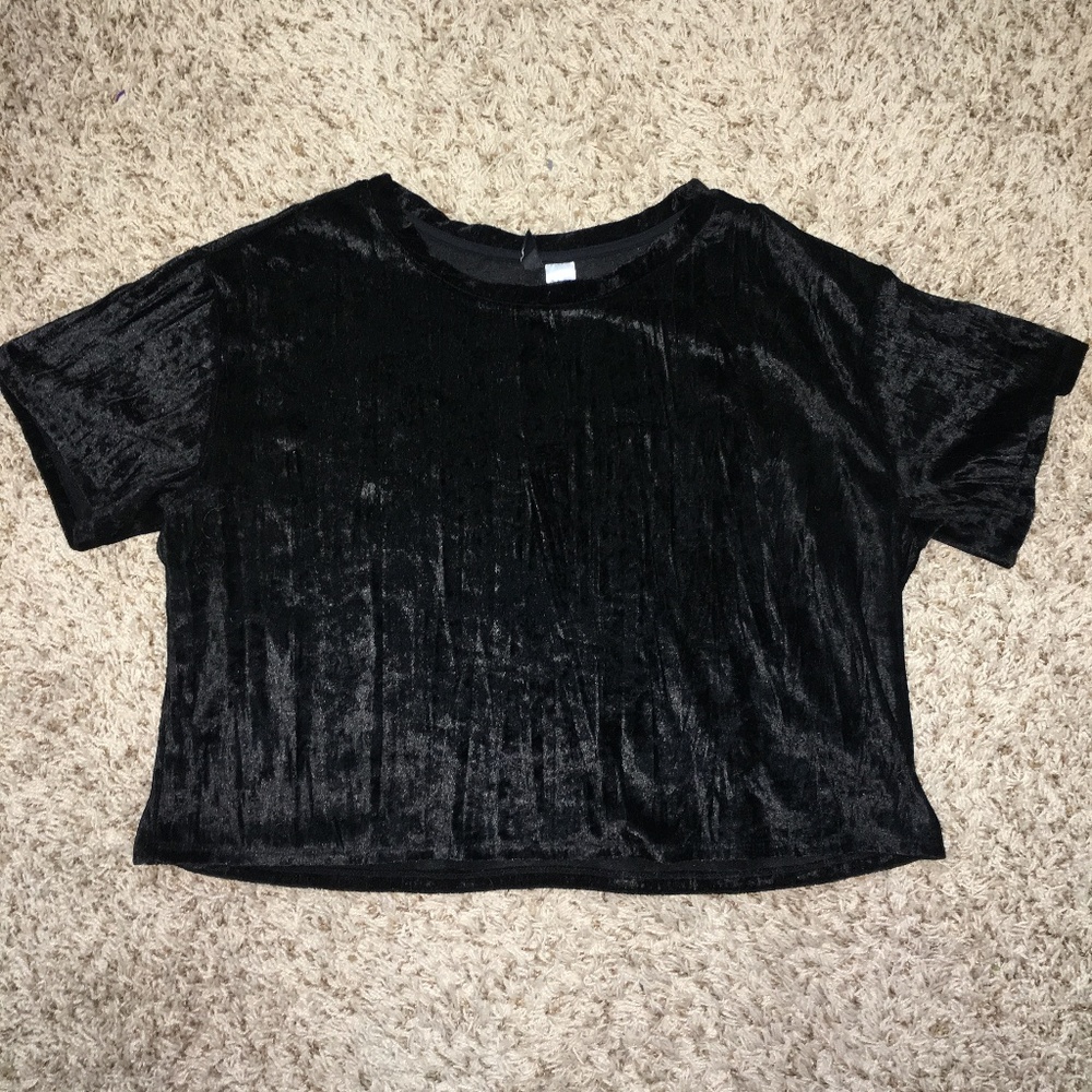 Velvet Crop Top